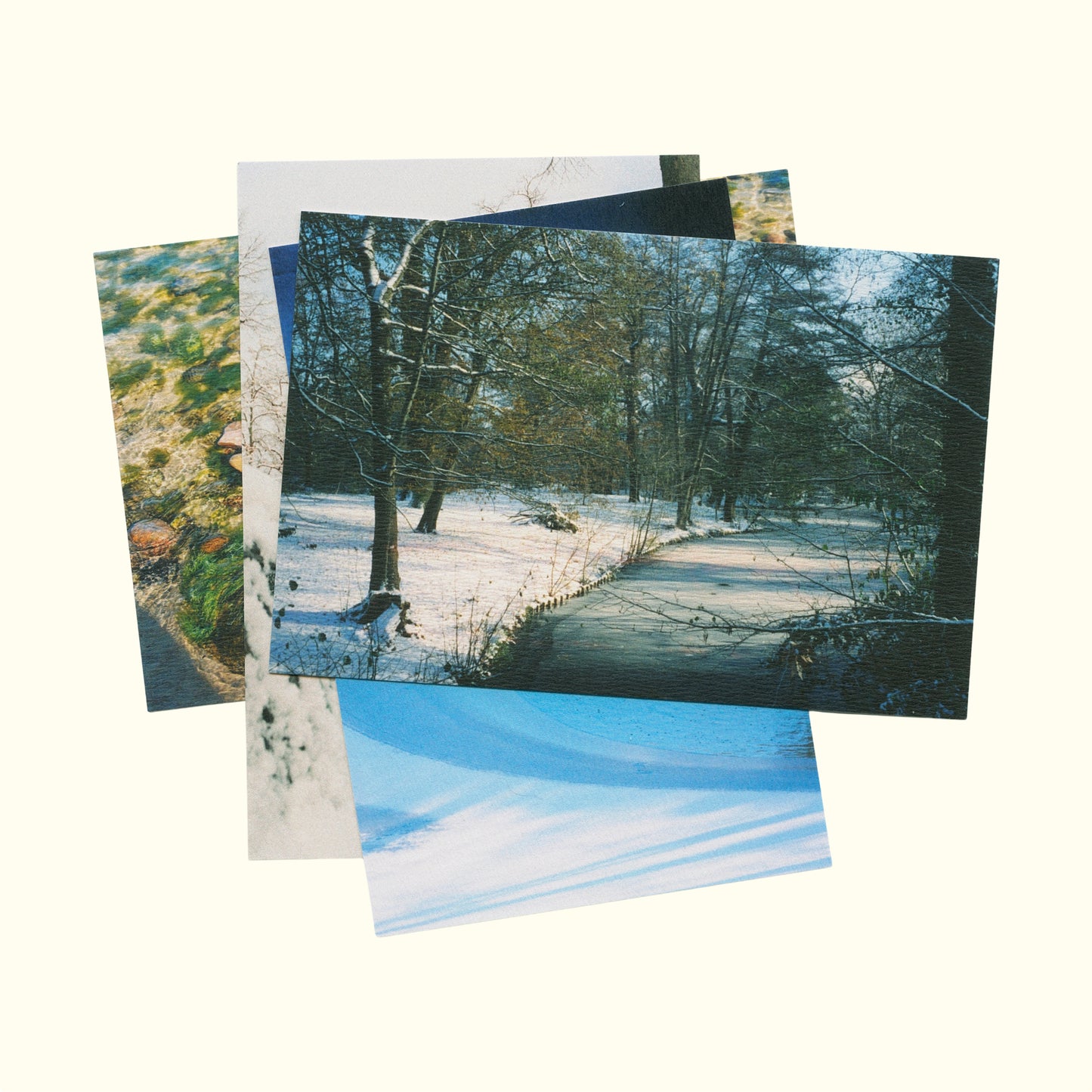 One Year of Primavera