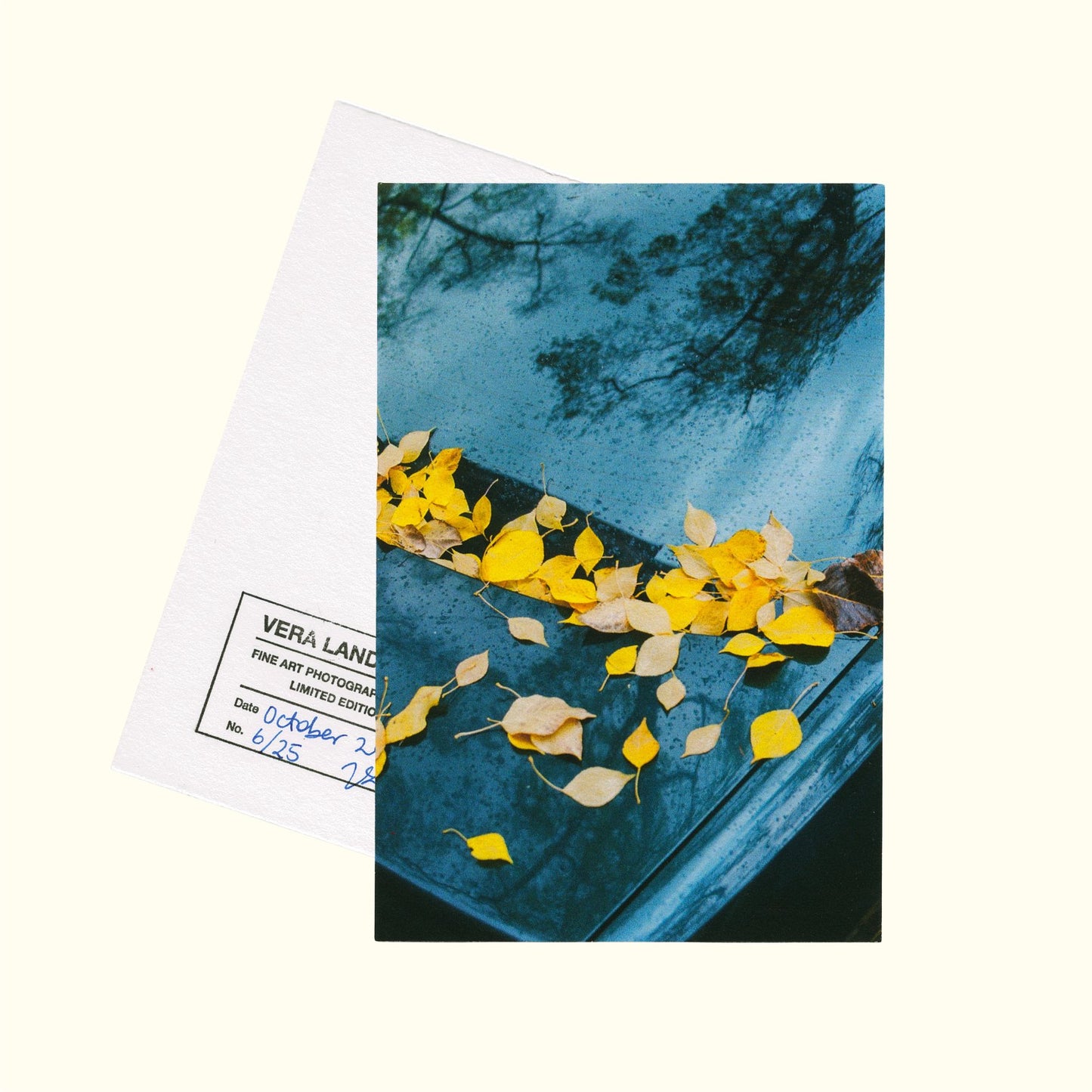 One Year of Primavera